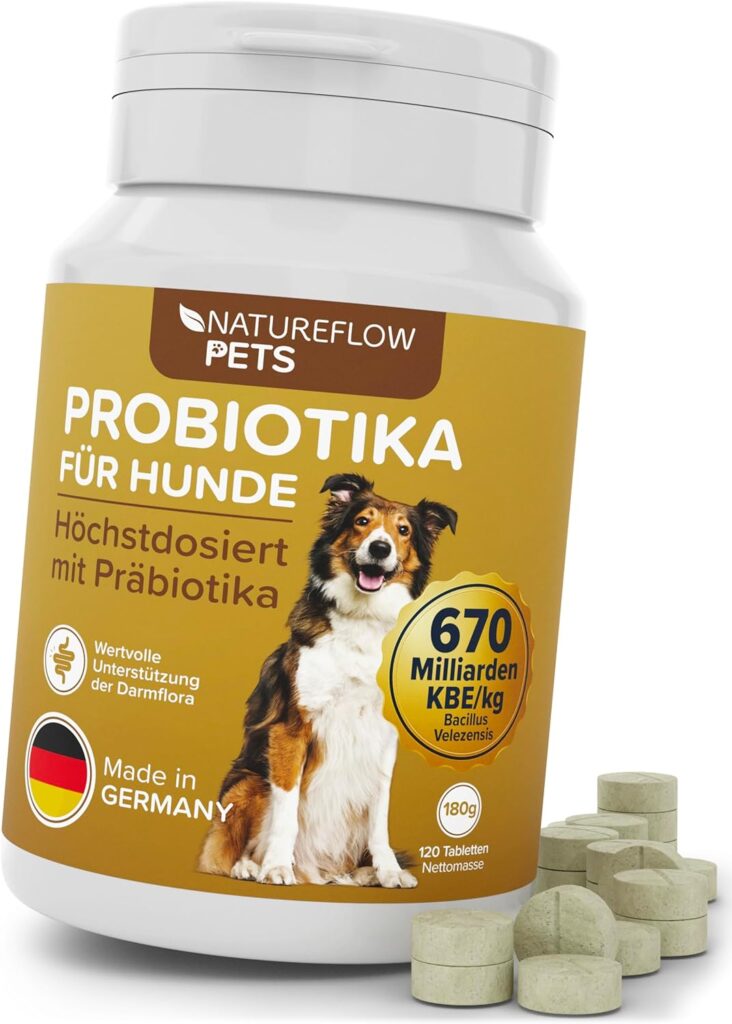 71otremMqqL._AC_SL1500_