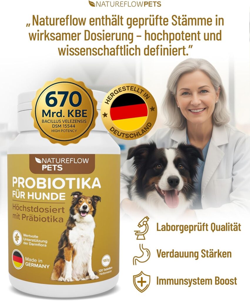 81MziyFMkfL._AC_SL1500_