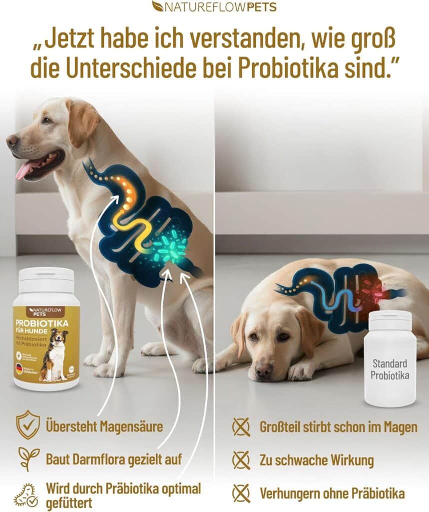 81hANz+24fL._AC_SL1500_