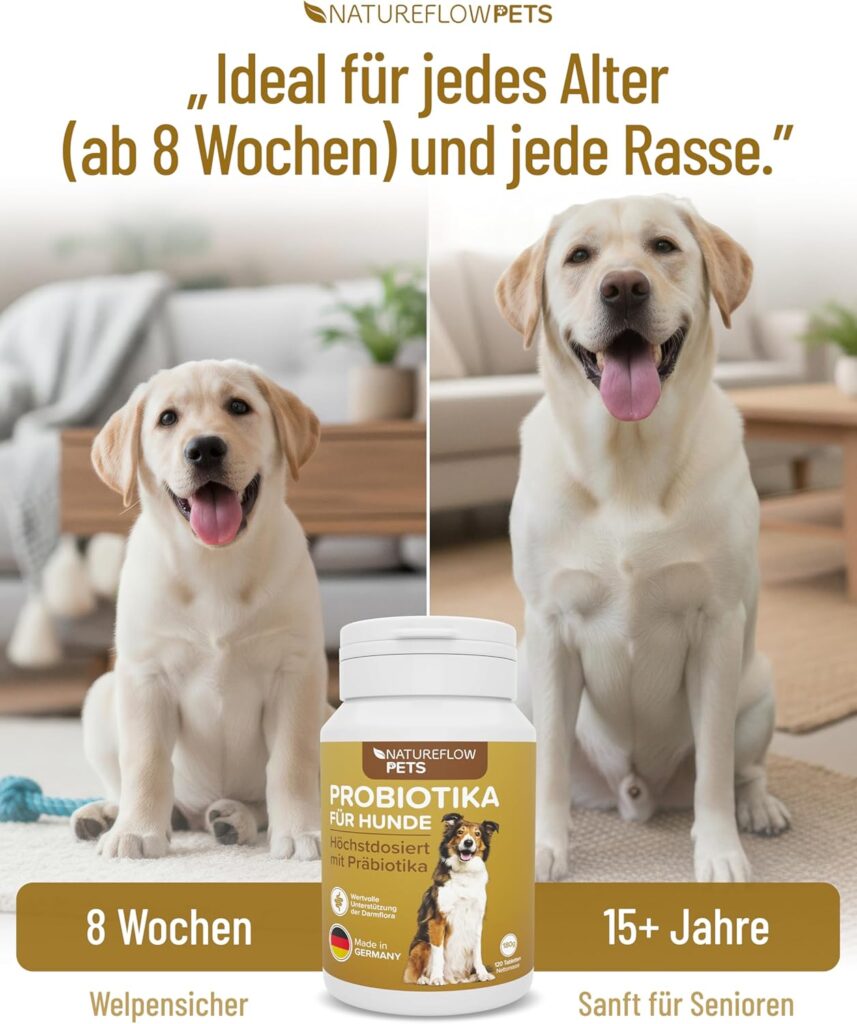 81+lo-pZsnL._AC_SL1500_